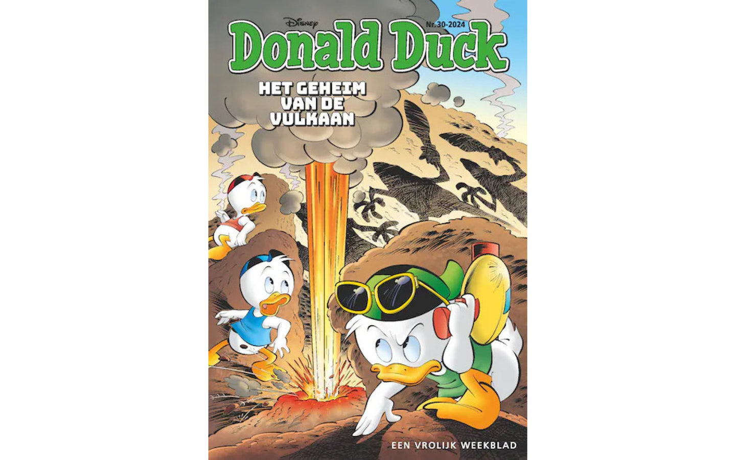 Donald Duck Weekblad - afbeelding 1
