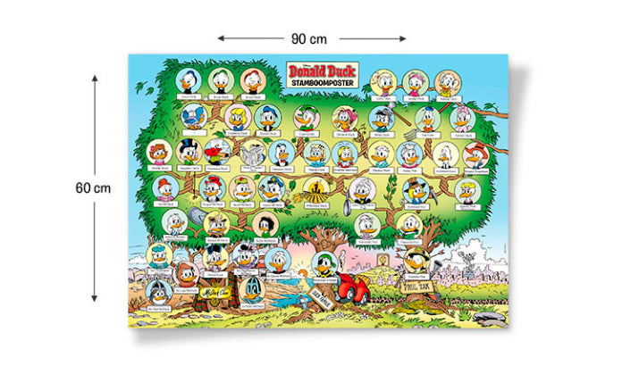 Donald Duck Poster - Stamboom - afbeelding 3
