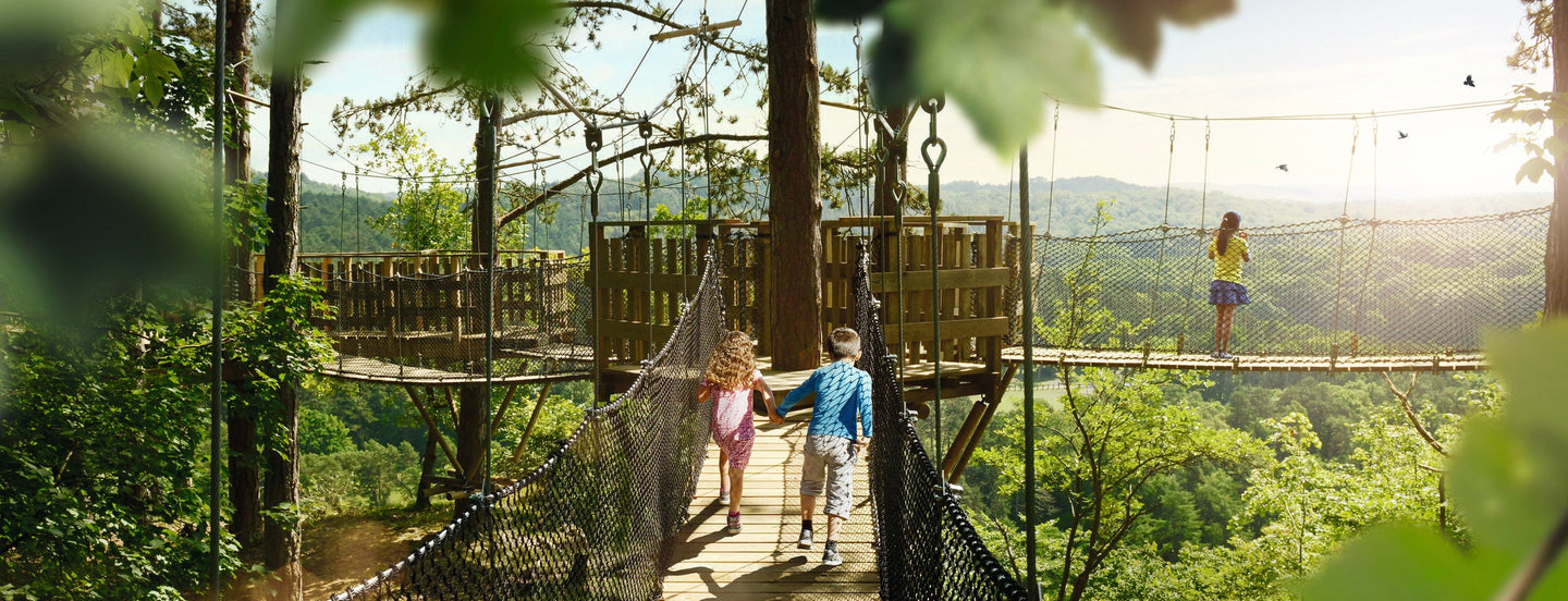 Domein van de Grotten van Han (Grot + Wildpark) - afbeelding 6