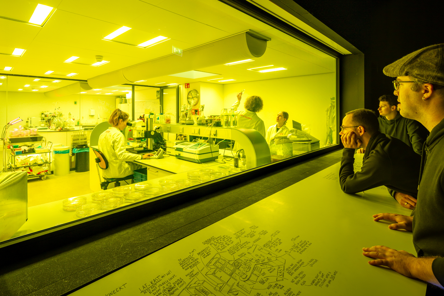 ARTIS-Micropia - Tickets met korting - afbeelding 6