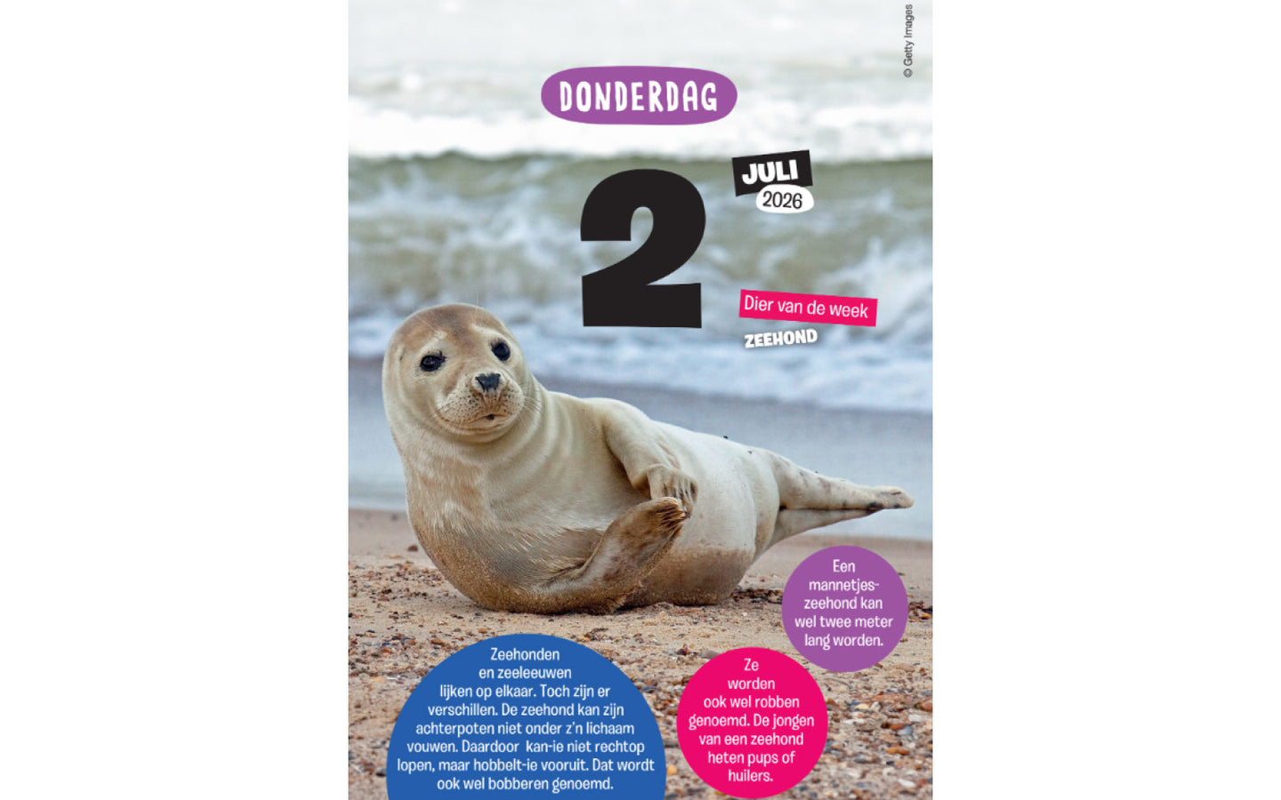 Kidsweek scheurkalender 2026 - afbeelding 3