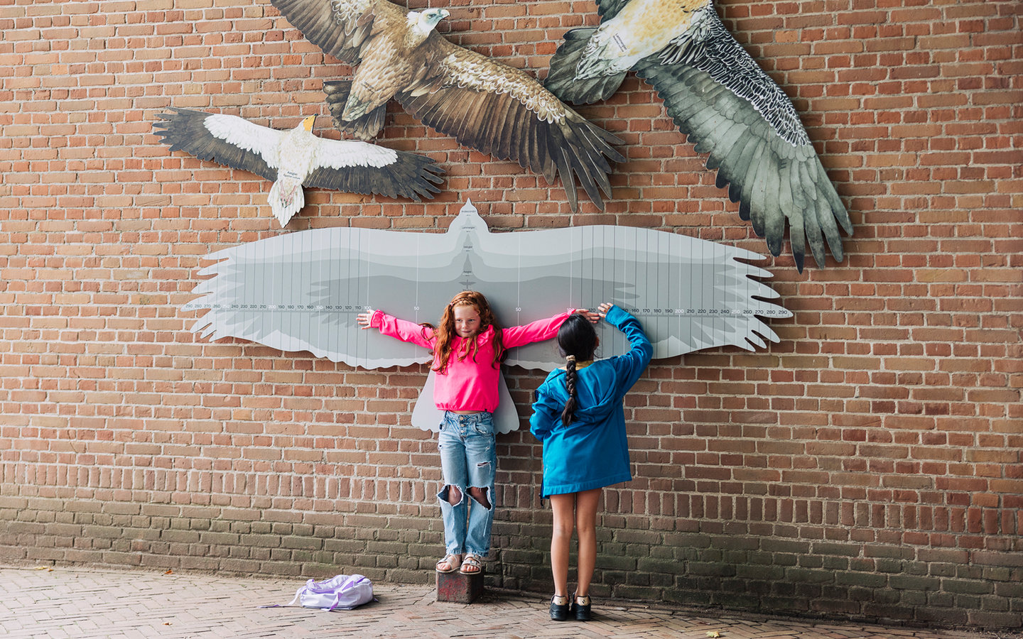 Speciale Donald Duck ARTIS-Park actie - afbeelding 14