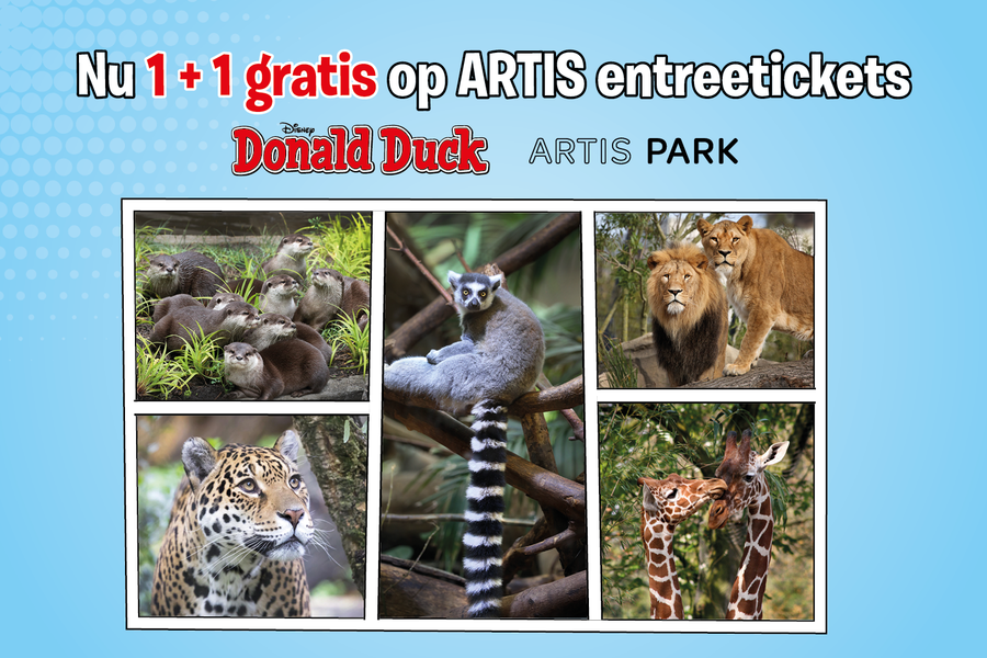 Speciale Donald Duck ARTIS-Park actie - afbeelding 1