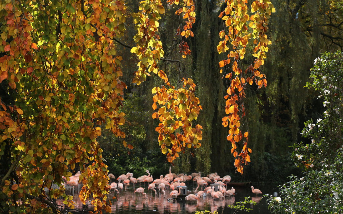 Combiticket ARTIS-Park & ARTIS-Groote Museum - afbeelding 17