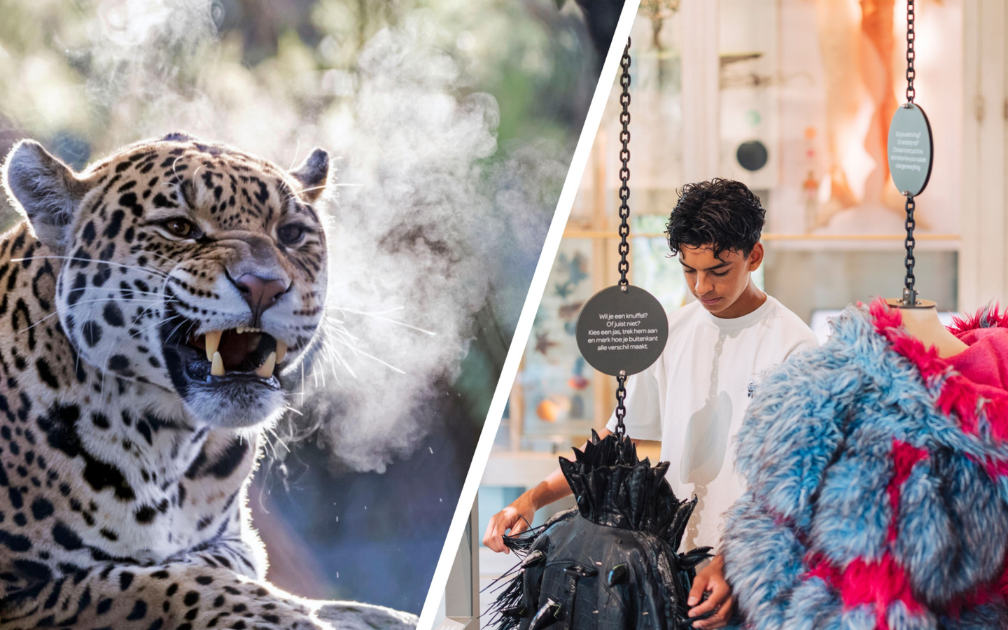 Combiticket ARTIS-Park & ARTIS-Groote Museum - afbeelding 2