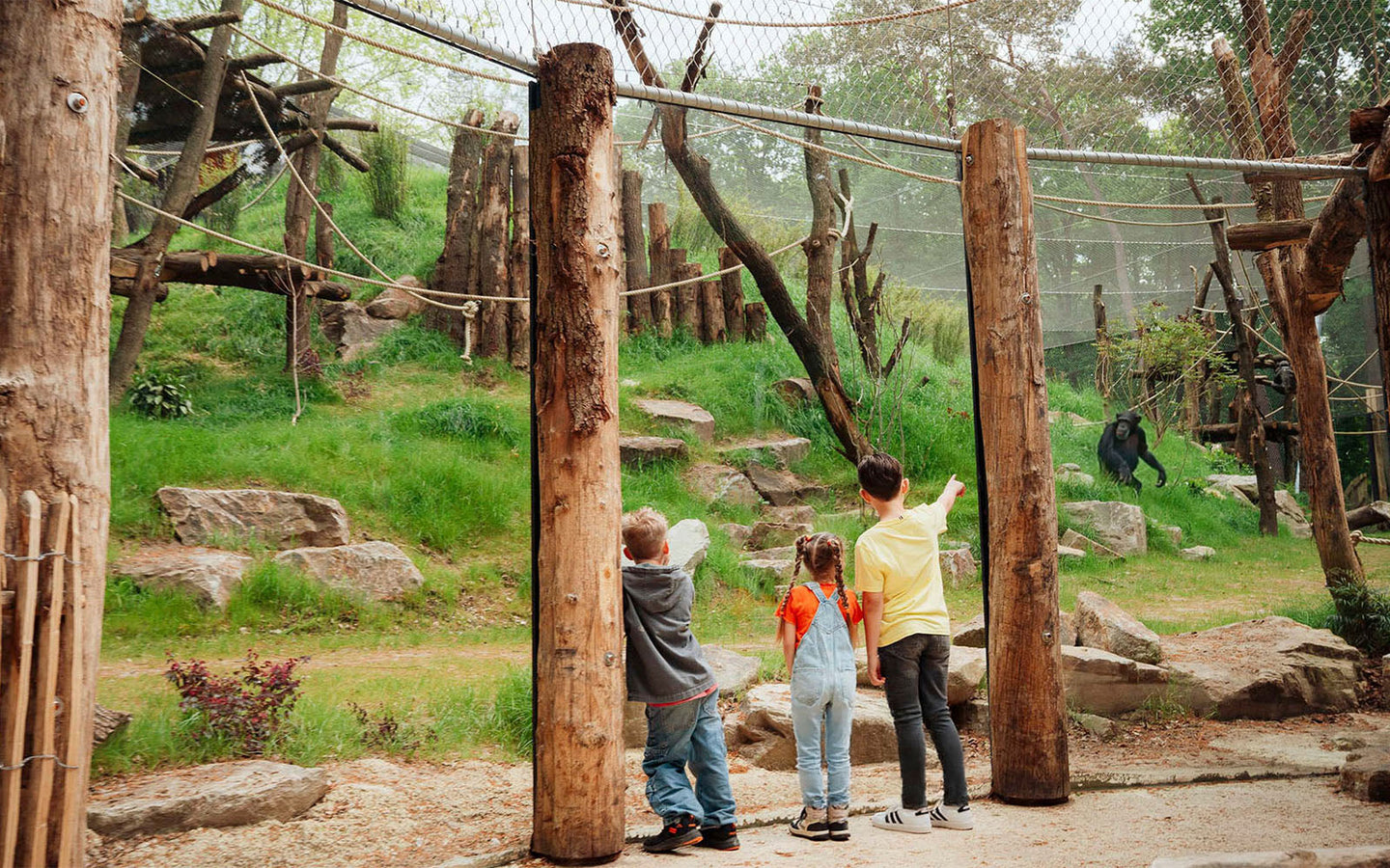 DierenPark Amersfoort - afbeelding 3