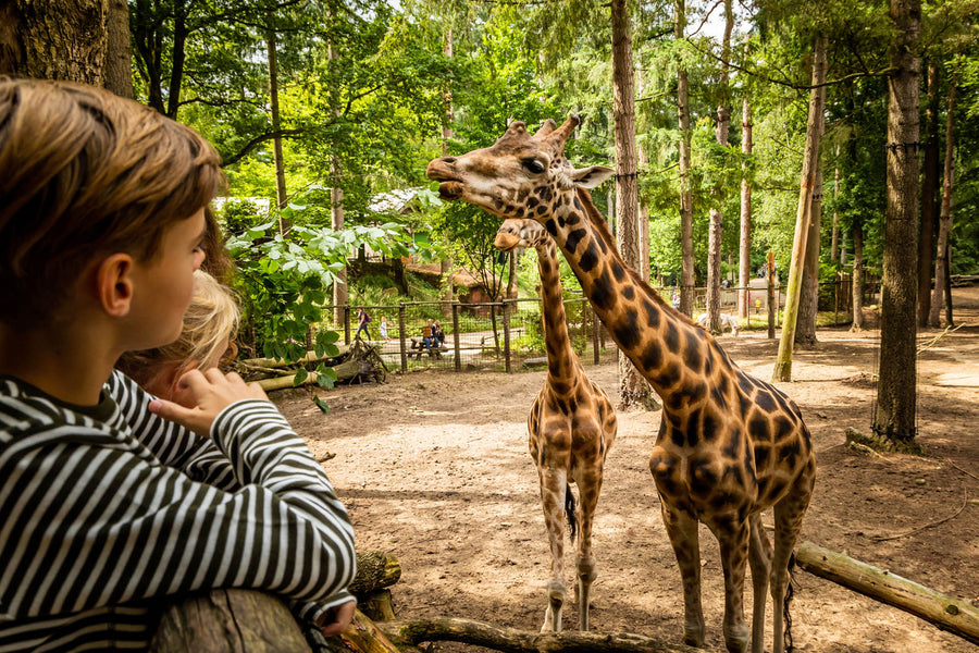DierenPark Amersfoort - afbeelding 1