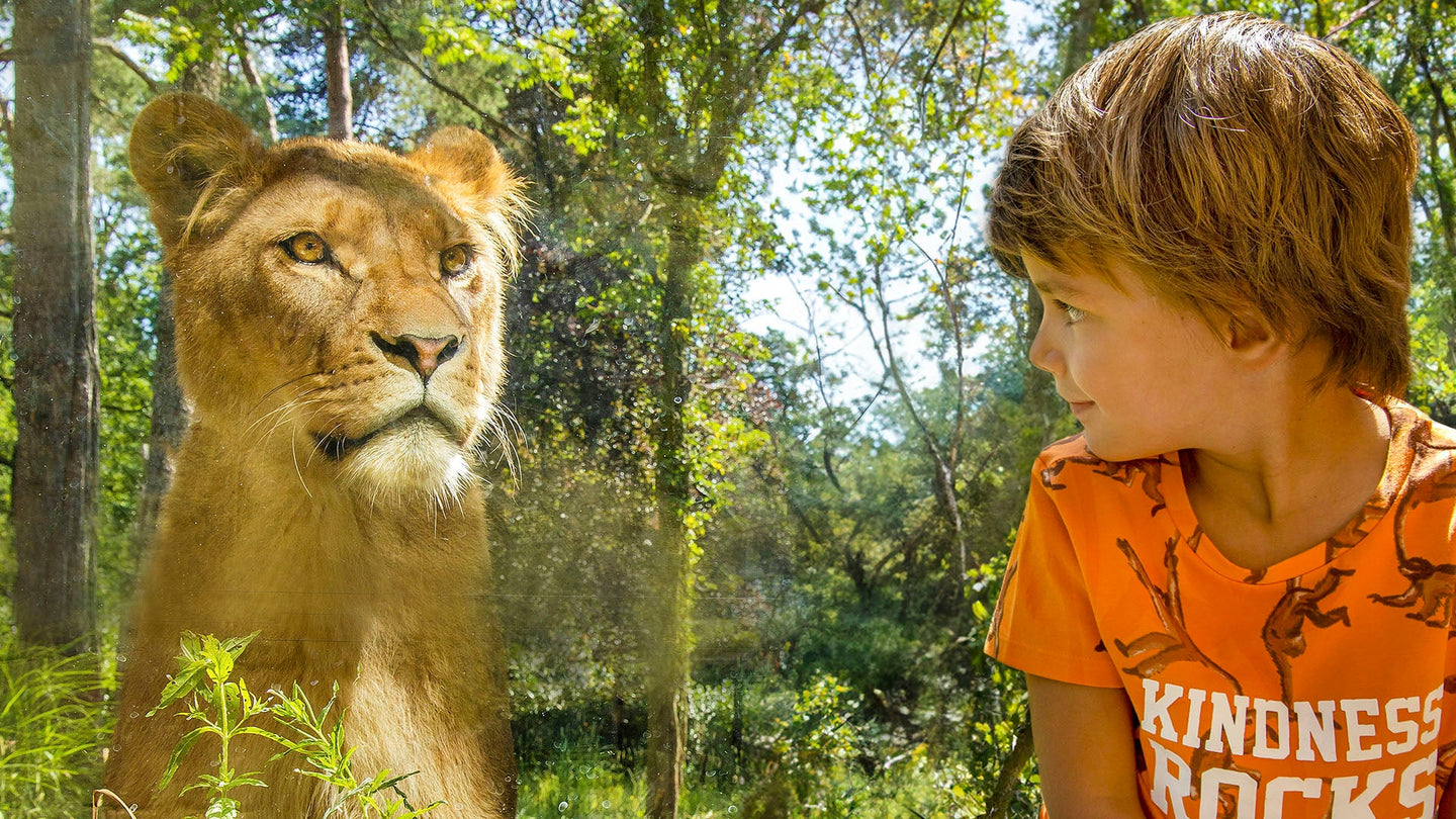 DierenPark Amersfoort - afbeelding 7