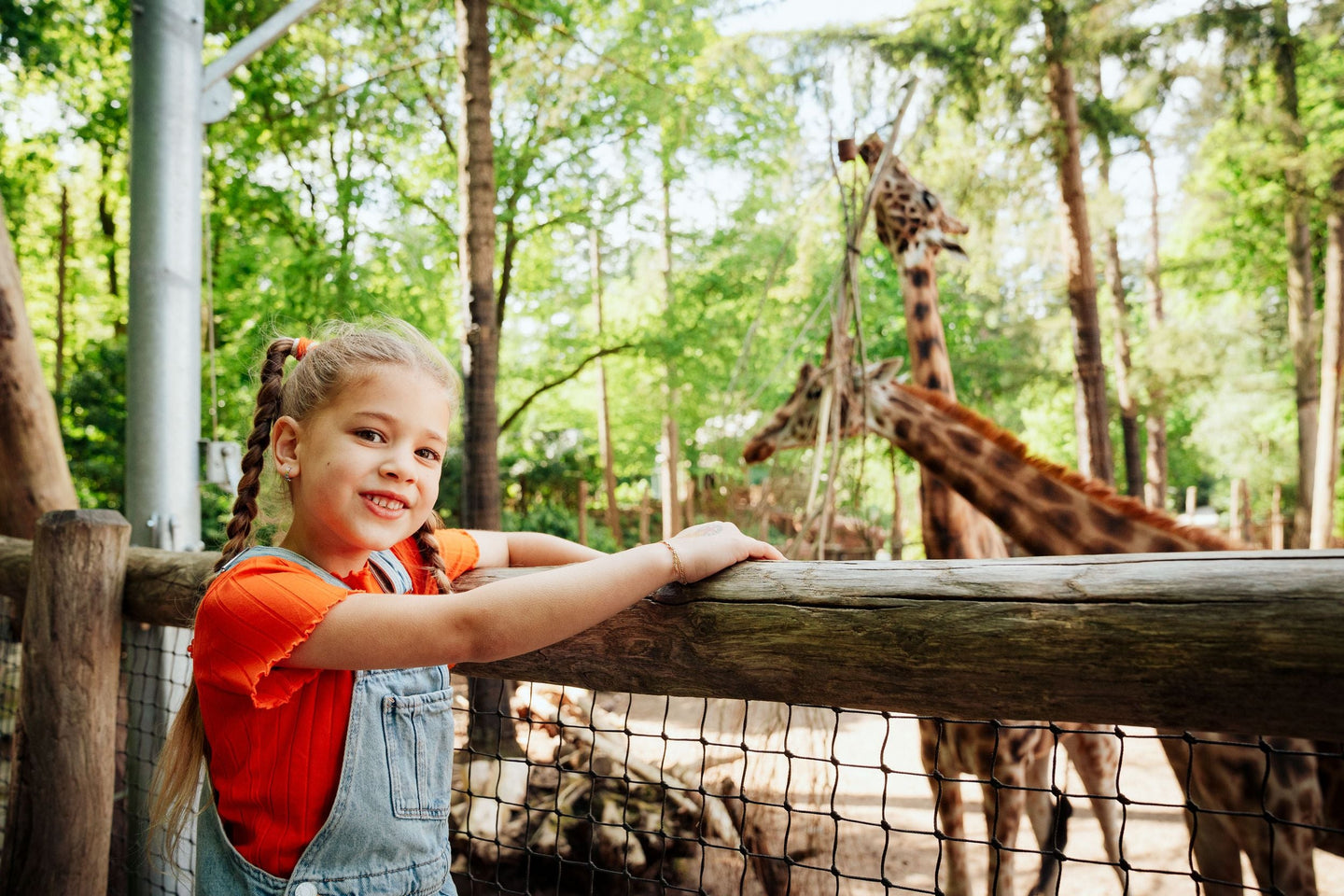 DierenPark Amersfoort - afbeelding 8