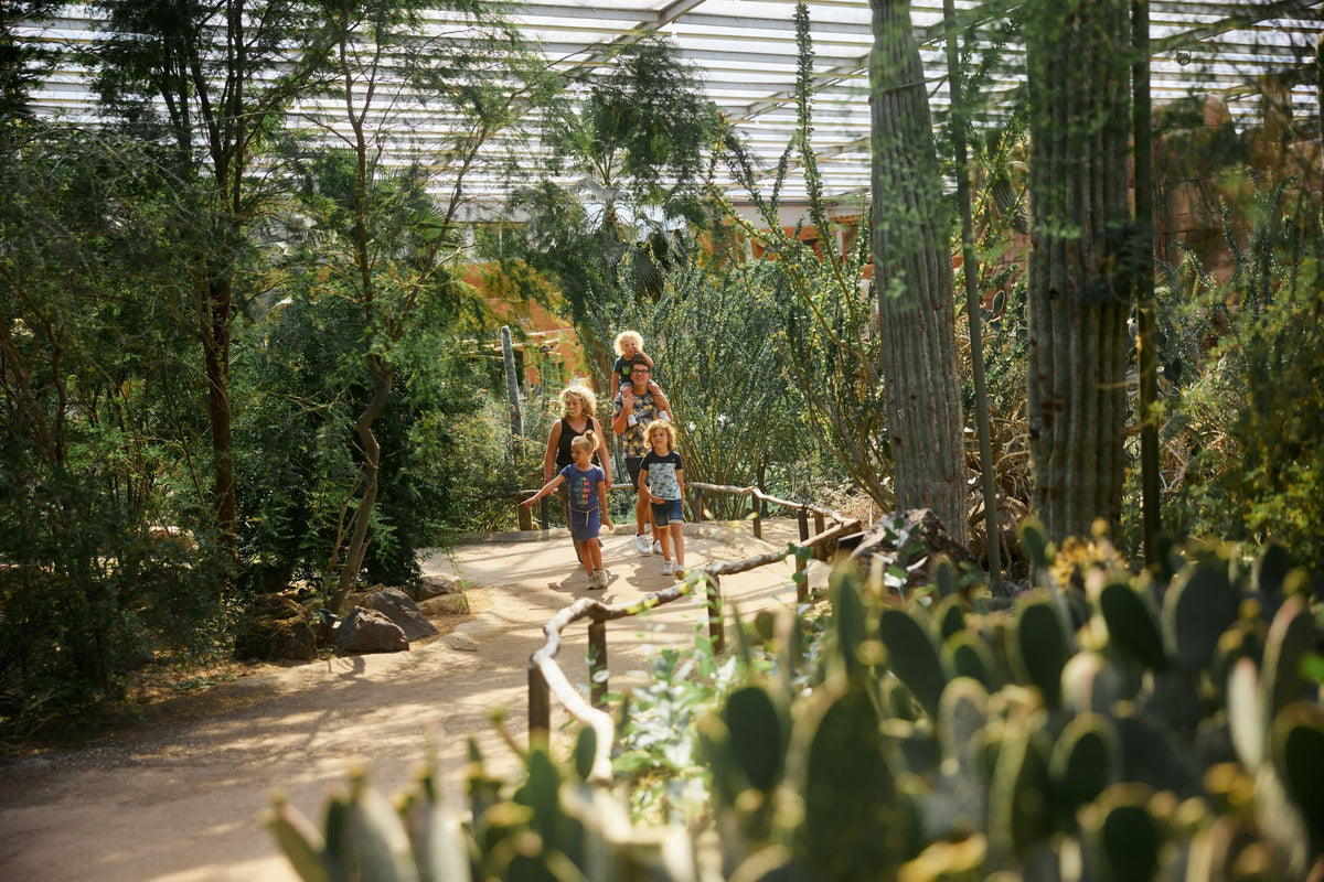 Burgers' Zoo - afbeelding 8