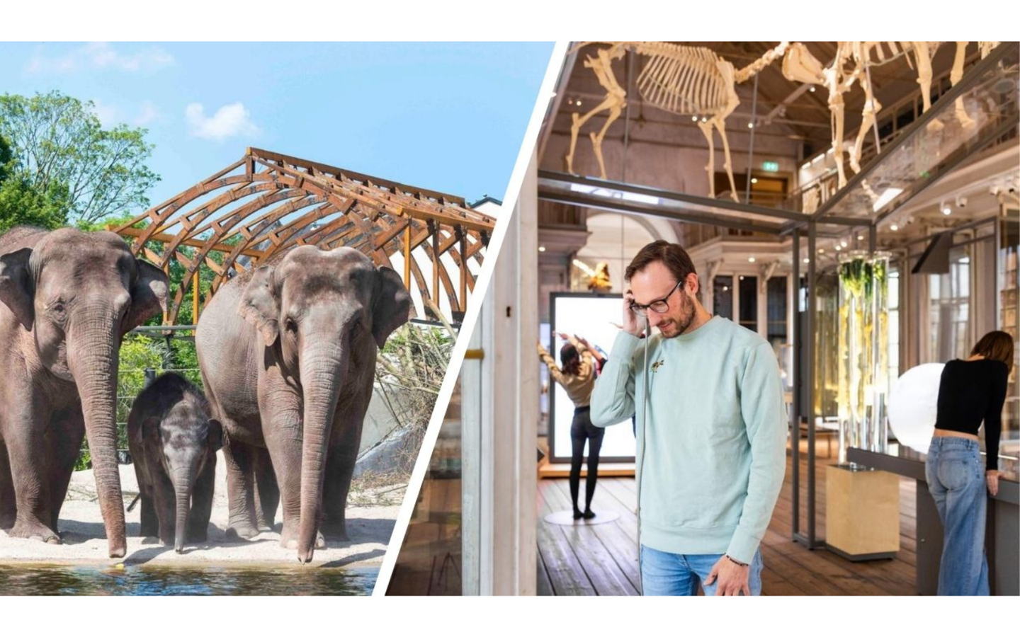 Combiticket ARTIS-Park & ARTIS-Groote Museum - afbeelding 24