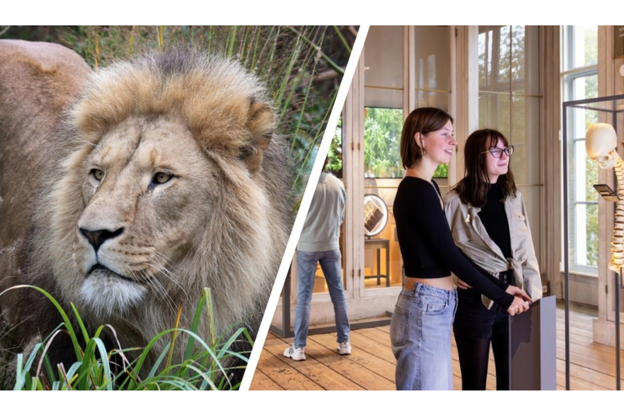 Combiticket ARTIS-Park & ARTIS-Groote Museum - afbeelding 1
