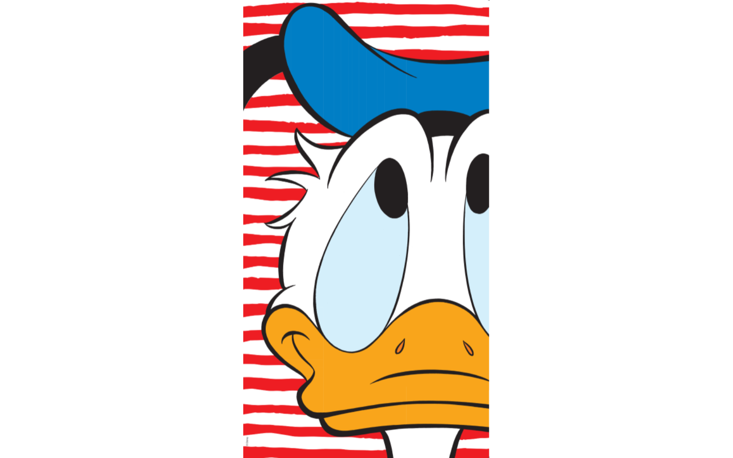 Donald Duck Strandlaken 2026 - afbeelding 1