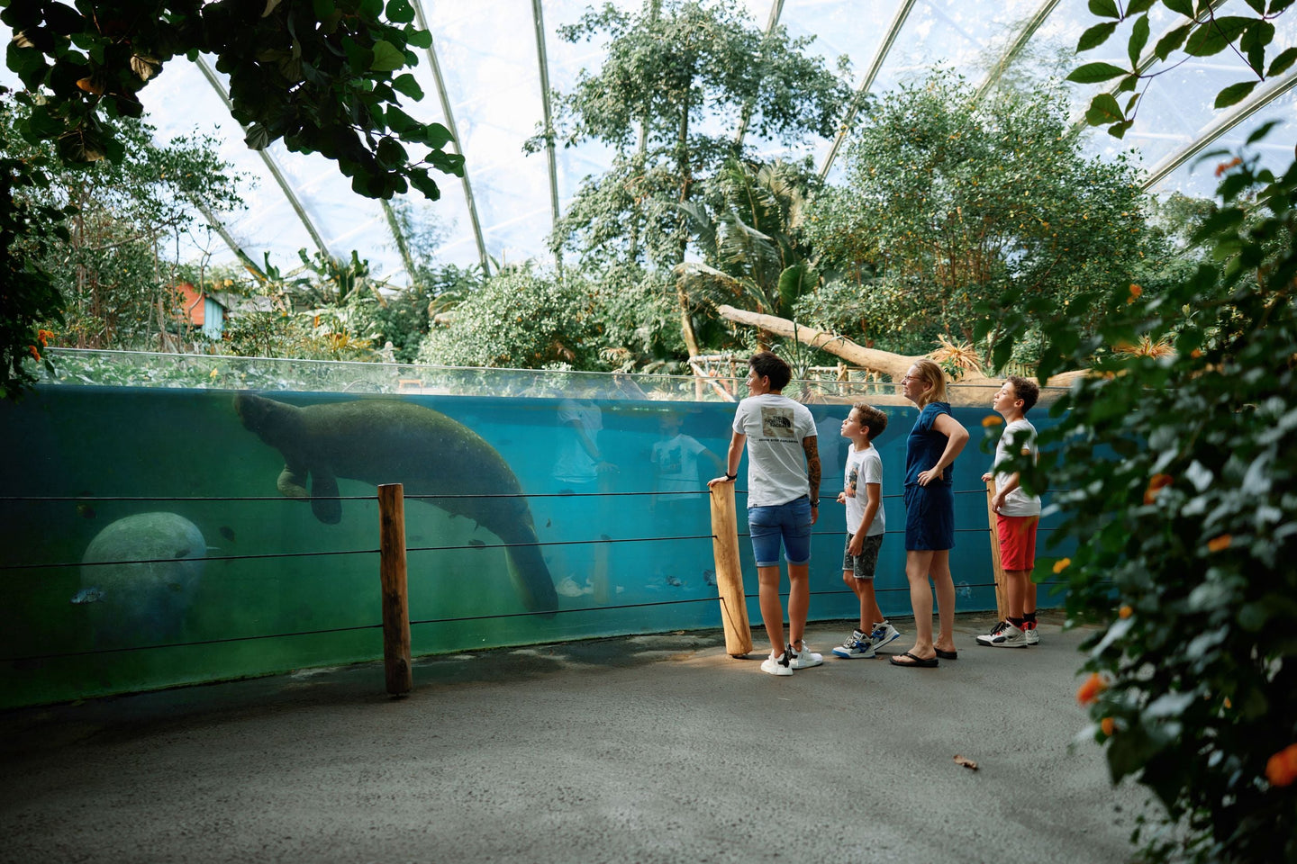 Burgers' Zoo - afbeelding 1