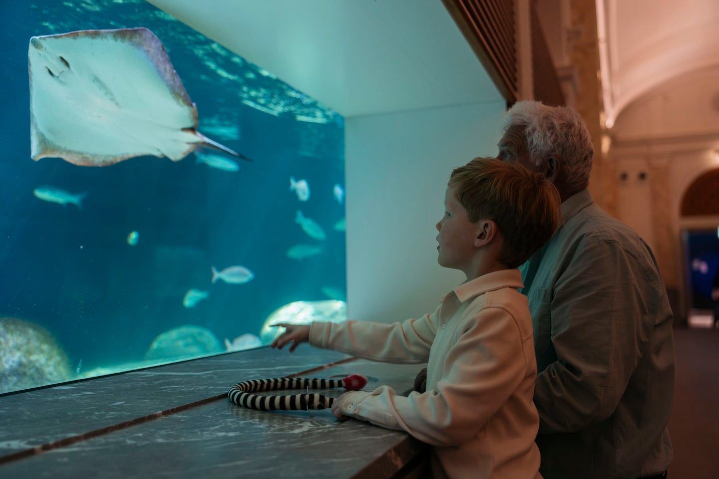 ARTIS-Park tickets met korting - afbeelding 6