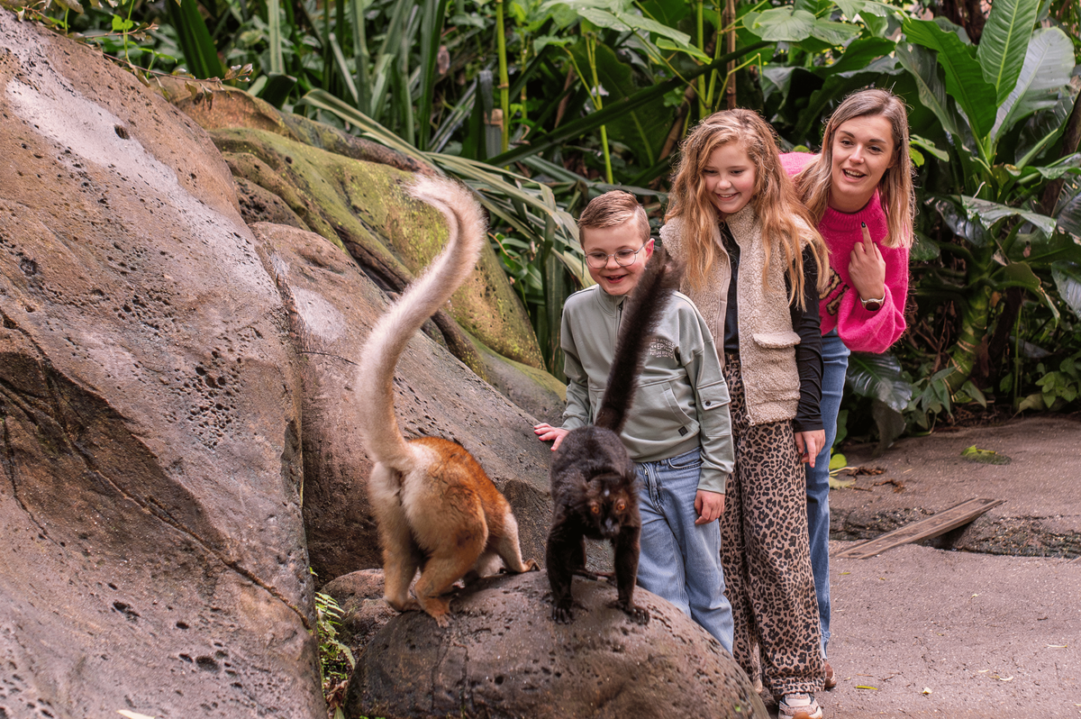 Wildlands Adventure Zoo Emmen - afbeelding 4