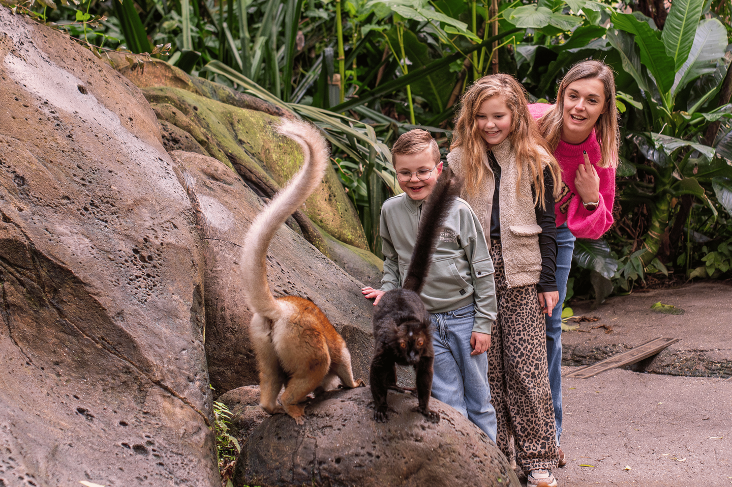 Wildlands Adventure Zoo Emmen - afbeelding 4