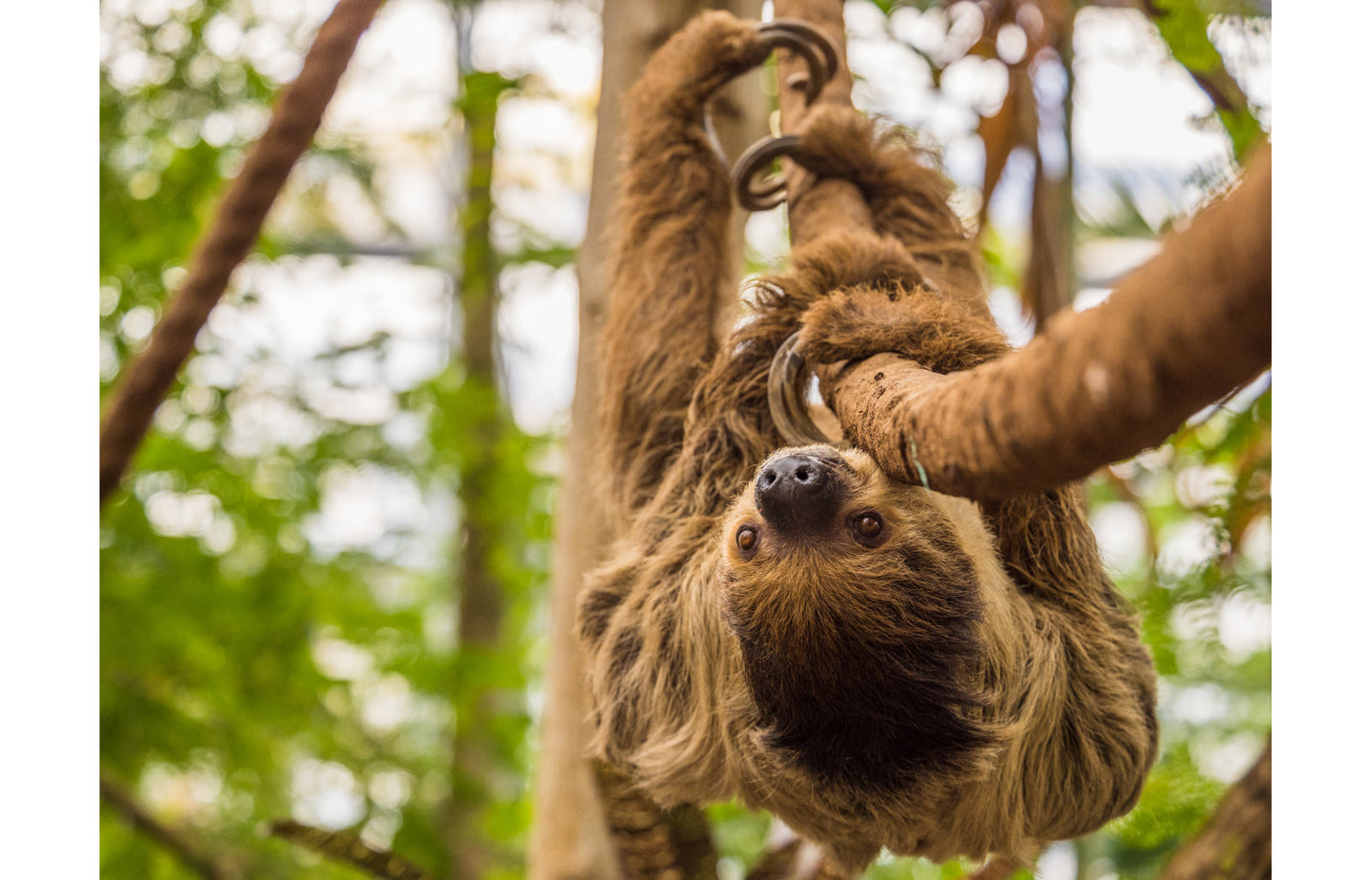 Wildlands Adventure Zoo Emmen - afbeelding 1