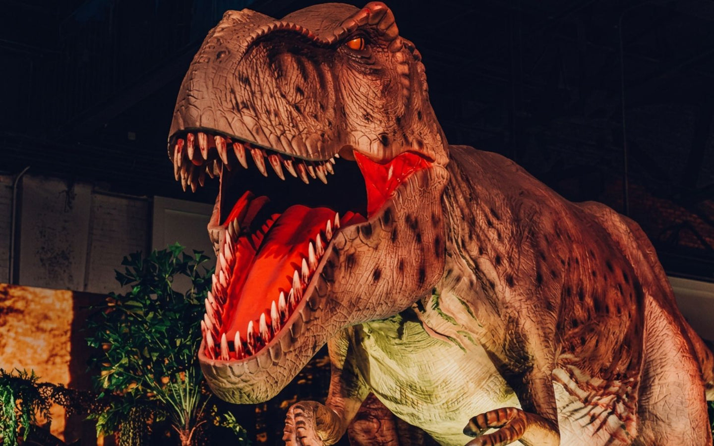 Dino World Goes - afbeelding 4