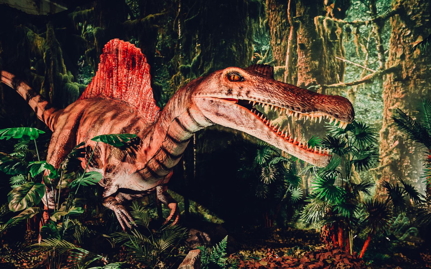 Dino World Goes - afbeelding 2