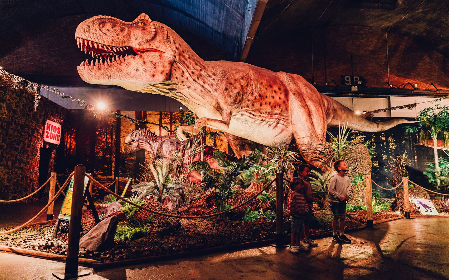 Dino World Goes - afbeelding 1