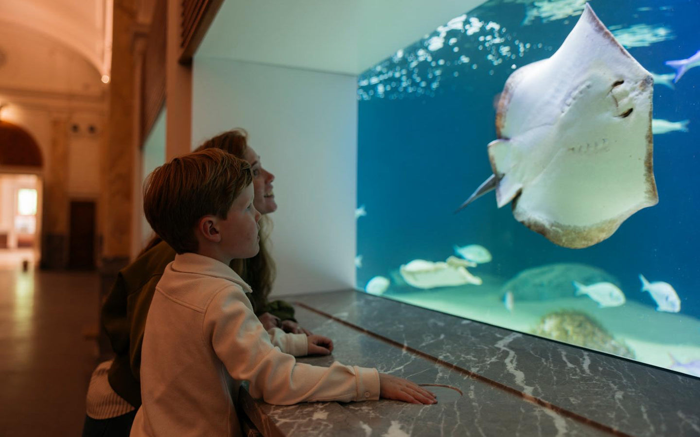 ARTIS-Park Zoomeravonden - afbeelding 5