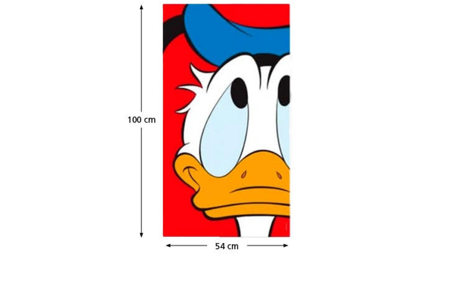 Donald Duck Poster - Donald - afbeelding 2